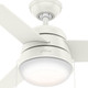 Aker 36" Ceiling Fan (59301)
