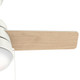 Aker 36" Ceiling Fan (59301)