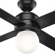 Hepburn 52" Ceiling Fan (59321)