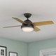 Dempsey 44" Ceiling Fan (59444)