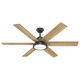 Warrant 60" Ceiling Fan (59461)