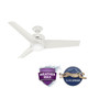 Havoc 54" Ceiling Fan (59470)