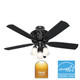 Promenade 54" Ceiling Fan (59545)
