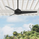 Trimaran 52" Ceiling Fan (59609)