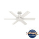 Kennicott 44" Ceiling Fan (59614)