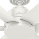 Kennicott 44" Ceiling Fan (59614)