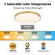 Aurelia LED Flush Mount (C0357)
