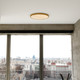 Aurelia LED Flush Mount (C0357)