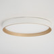 Darien LED Flush Mount (C0382)