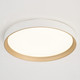 Darien LED Flush Mount (C0382)
