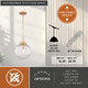 Linden One Light Pendant (P0457)