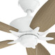 Renew Patio 52"Ceiling Fan (330165MWH)