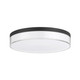 Clarion LED Flush Mount (6-4444-11-BK)