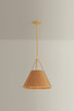 Sunside Three Light Pendant (1143-AGB)