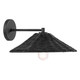 One Light Wall Sconce (M90106MBK)
