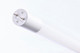 Light Bulb (S19911MX)