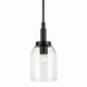 Madden One Light Mini Pendant (52725BK)