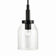 Madden One Light Mini Pendant (52725BK)