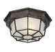 Exterior Collections One Light Flush Mount (5-2066-72)
