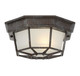 Exterior Collections One Light Flush Mount (5-2066-72)