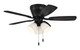 Wheeler 42 3-Light 42" Ceiling Fan (WHL42FB5C3)