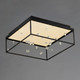 Entanglement LED Flush Mount (E21250-20BK)