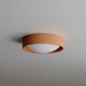 Souffle LED Flush Mount (E25050-TRC)
