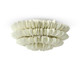 Palecek - 2355-79 - Two Light Flush Mount - Hannah - Off- White