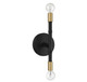 Rossi Two Light Wall Sconce (V6-L9-5612-2-143)