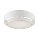 Meridian Four Light Semi-Flush Mount (47155-91)