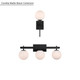 Coretta Three Light Vanity (215103-MB)