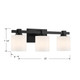 Abelson Three Light Vanity (23103-MB)