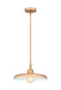 Camden One Light Pendant (2308P14-RB)