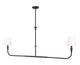 Z-Lite - 3049-60L-MB - Two Light Linear Chandelier - Tova - Matte Black