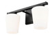 Nextra Two Light Vanity (7703-2V-MB)