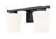 Nextra Two Light Vanity (7703-2V-MB)