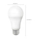 Light Bulb (S11254)