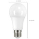 Light Bulb (S11431)