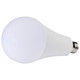 Light Bulb (S11466)
