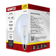 Light Bulb (S12485)