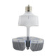 Light Bulb (S13127)