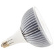 Light Bulb (S13154)