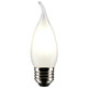 Light Bulb (S21321)