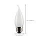 Light Bulb (S21853)