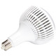 Light Bulb (S23112)