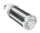 Light Bulb (S8989)