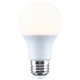 Light Bulb (S15138)