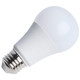 Light Bulb (S15163)