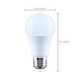 Light Bulb (S15165)