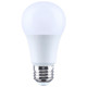 Light Bulb (S15178)